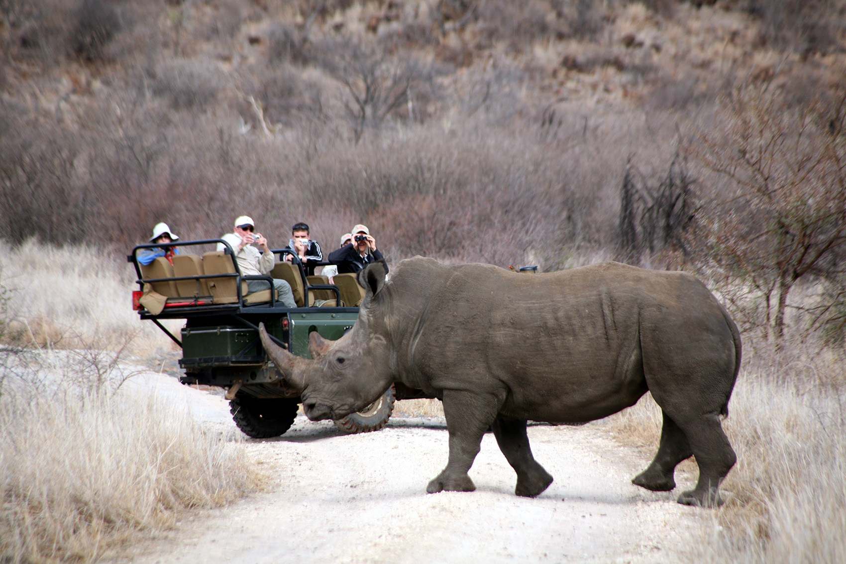 Madikwe Game Reserve at Tau, a South
