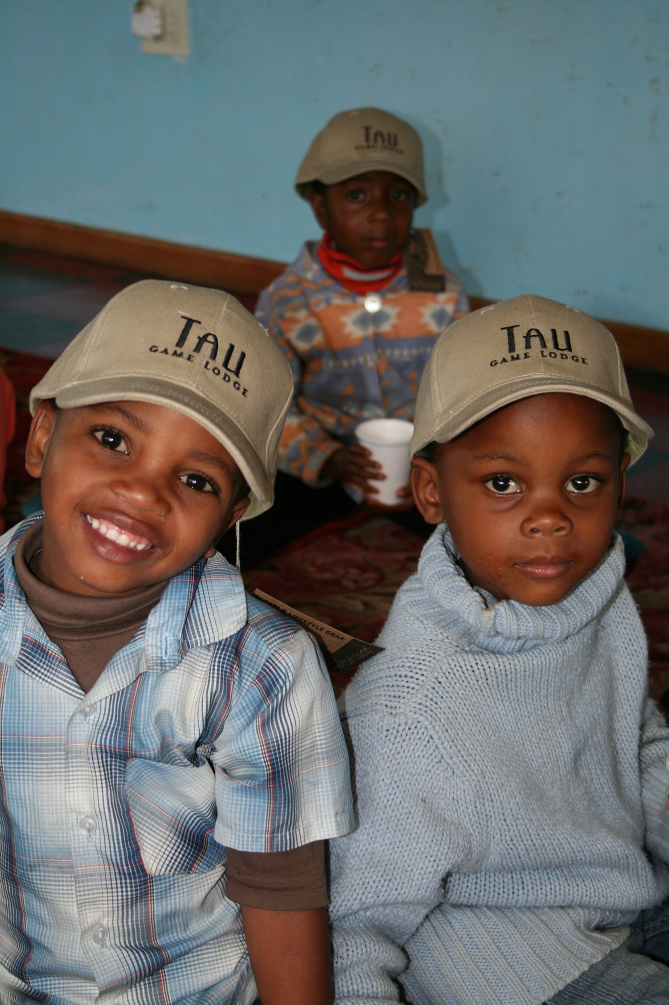 5 South African safari lodge, aiding