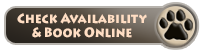 Book via Online Reservations at Tau Game Lodge Luxury Safari Bush Lodge